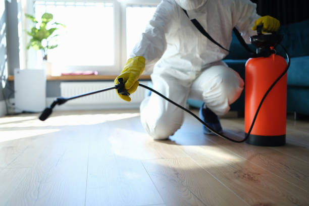 Reliable Odor Removal contractor in Center Tuftonboro, NH by Trauma Clean Pros